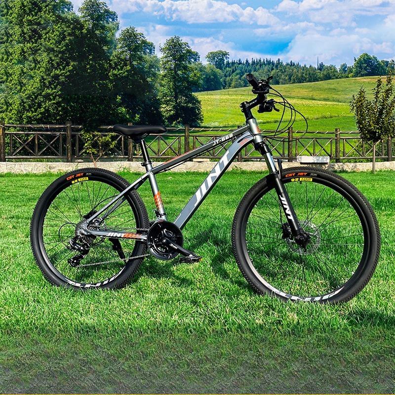 Vélo de Route Commuter en Alli - Commuter Biking avis et prix